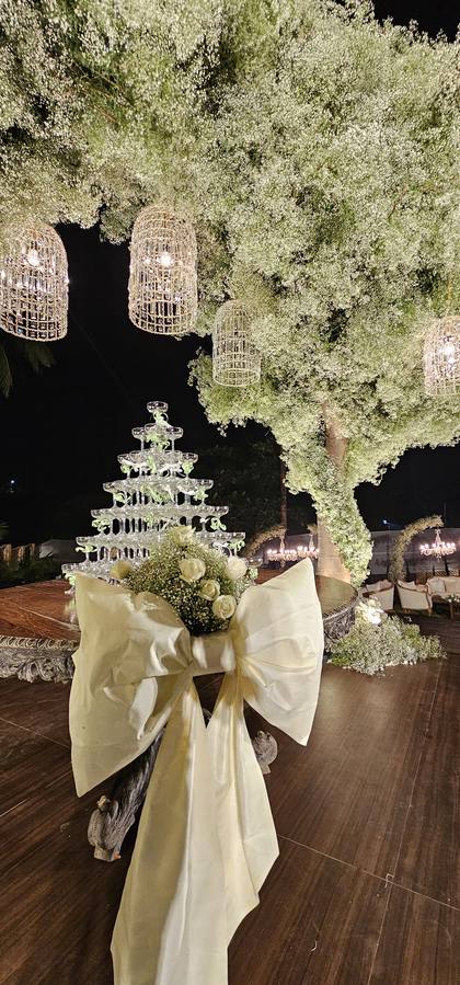 Photo-op and Ceiling — Reception decor — Casa Waters